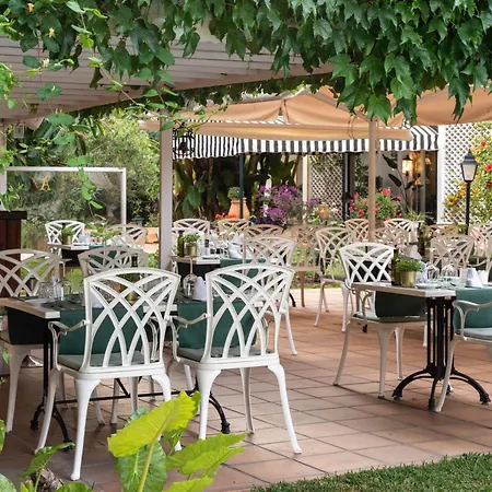 Araxa - Adults Only 3* Palma de Mallorca